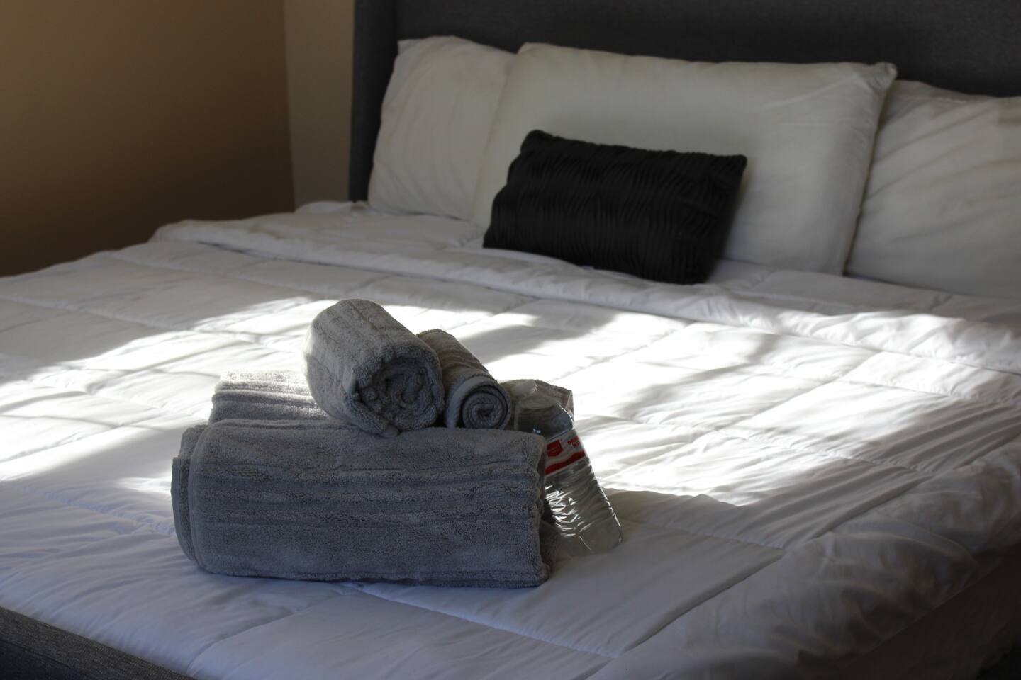 Bedroom #4 (downstairs) | 1 King